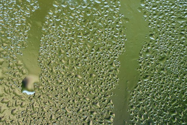 a close-up on condensation